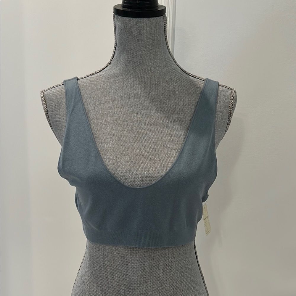 Free People Blue Crop Top
